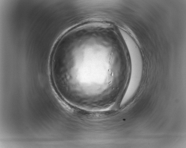 X0000070230795200606091716