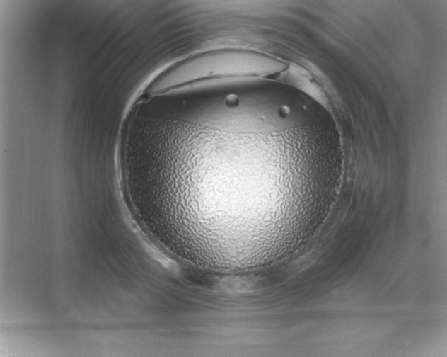 X0000070230796200606091716