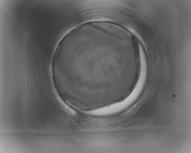 X0000070230797200606091716