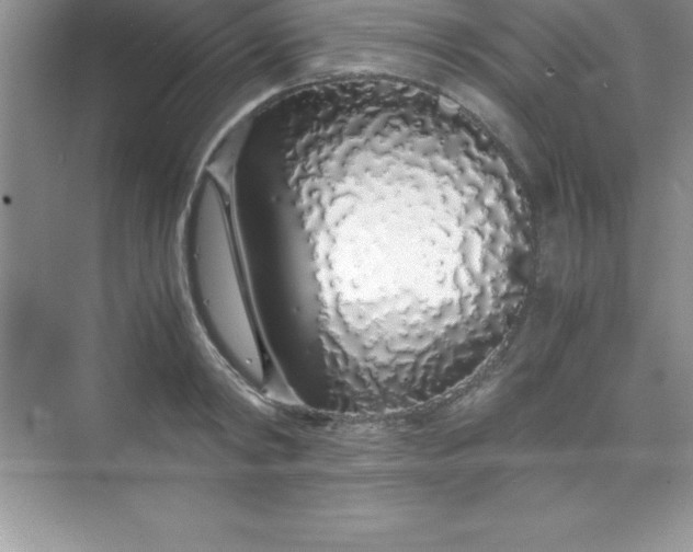 X0000070230798200606091716