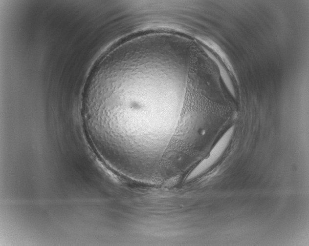 X0000070230799200606091716