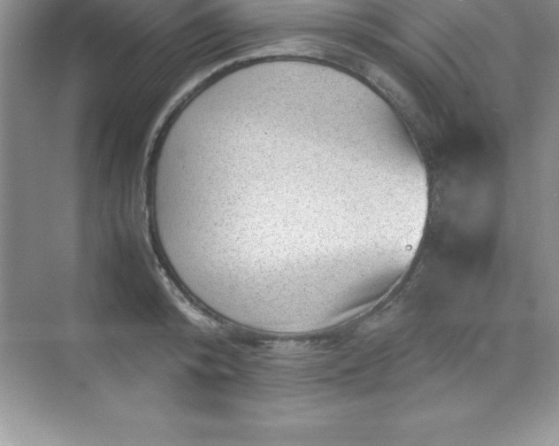 X0000070230800200606091715