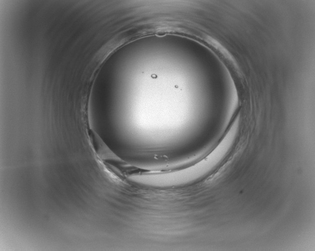 X0000070230801200606091715