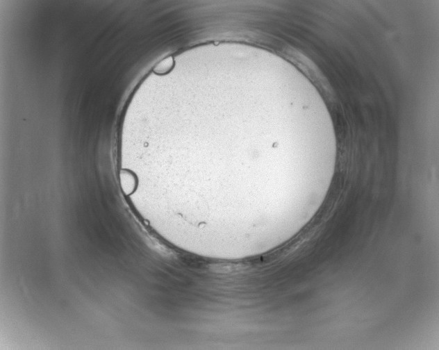 X0000070230804200606091715