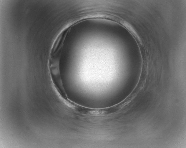 X0000070230805200606091715