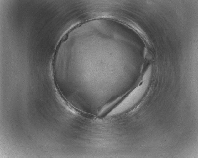 X0000070230806200606091715