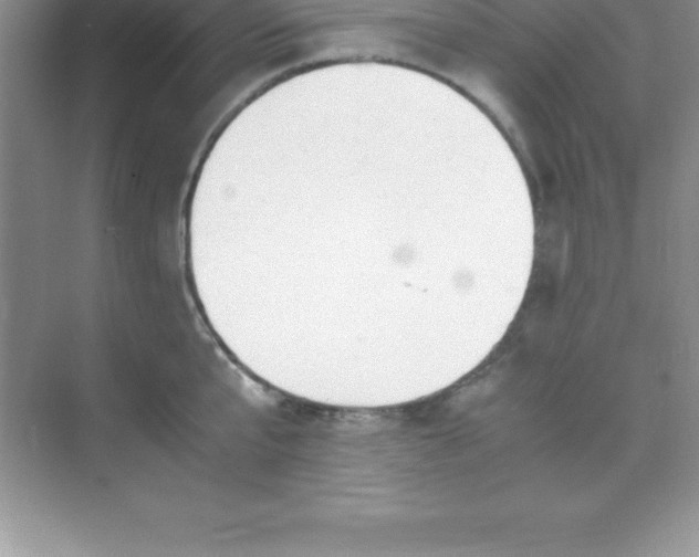 X0000070230807200606091715