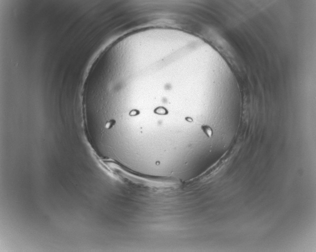 X0000070230808200606091715