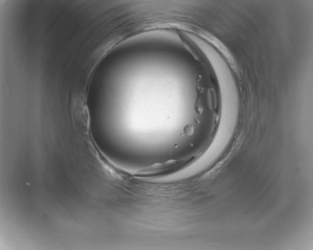 X0000070230809200606091715