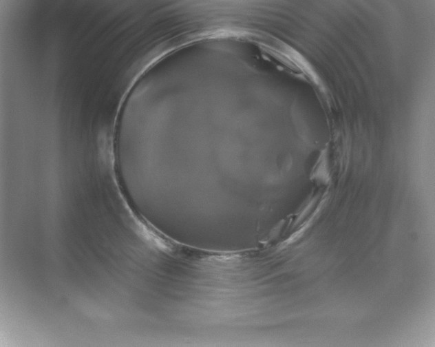 X0000070230810200606091715