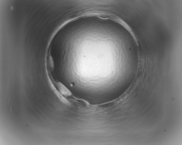 X0000070230811200606091715