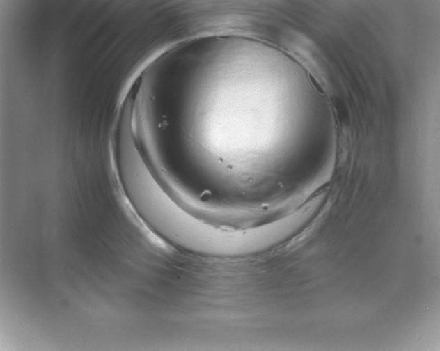 X0000070230812200606091715