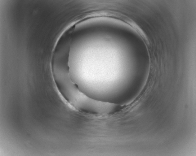 X0000070230813200606091715