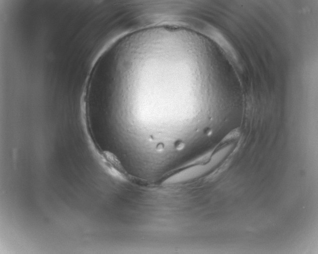 X0000070230814200606091715