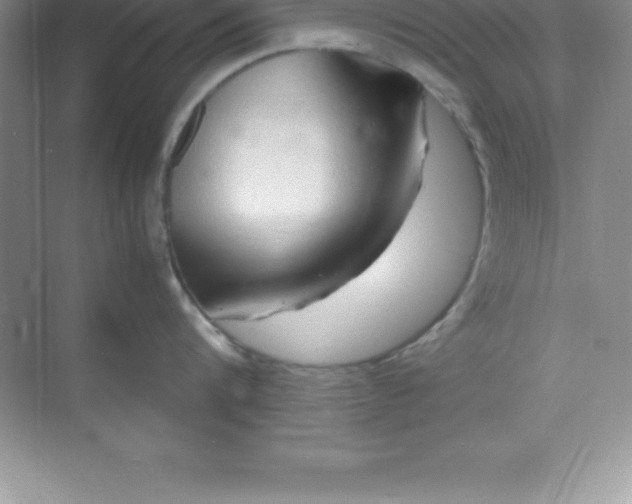 X0000070230816200606091715