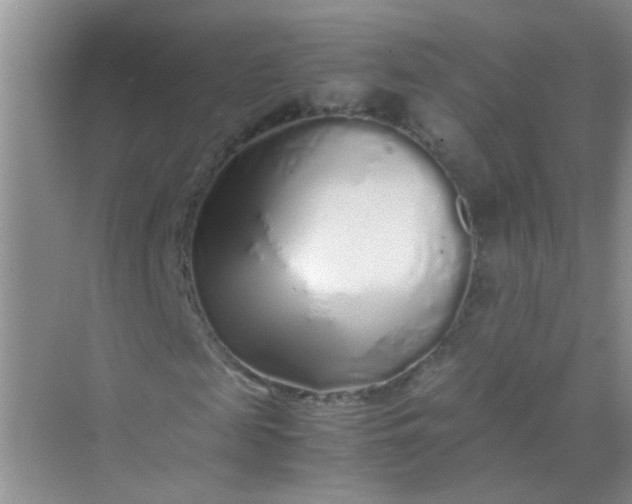 X0000070230817200606091714