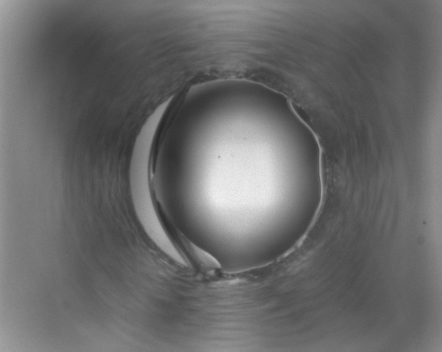 X0000070230818200606091714