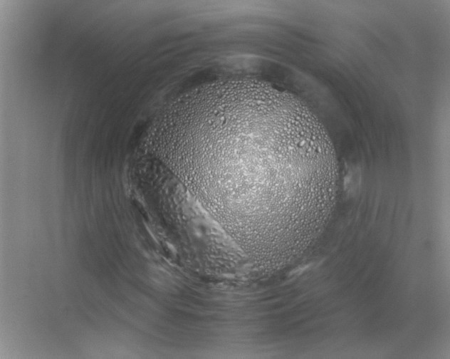 X0000070230819200606091714