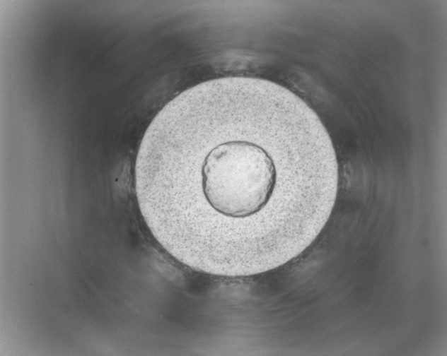 X0000070230820200606091714