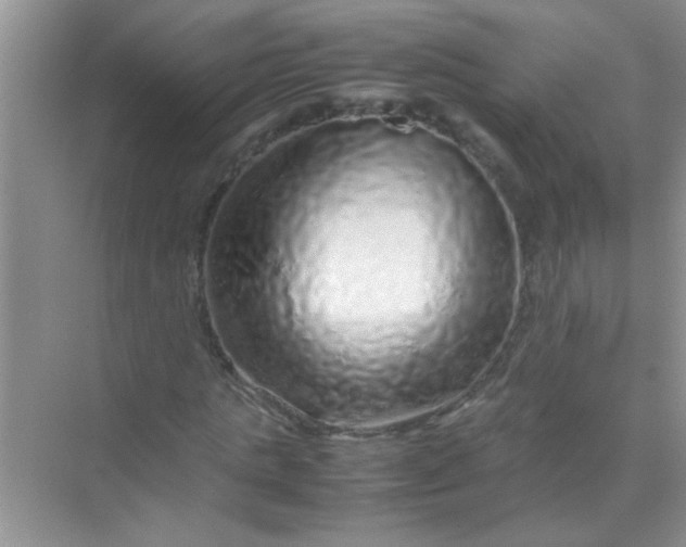 X0000070230821200606091714