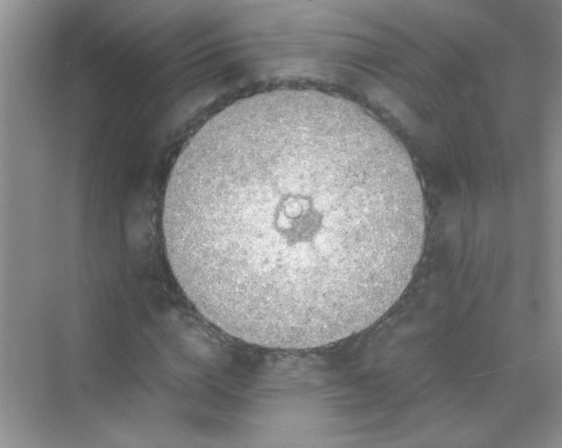 X0000070230824200606091714