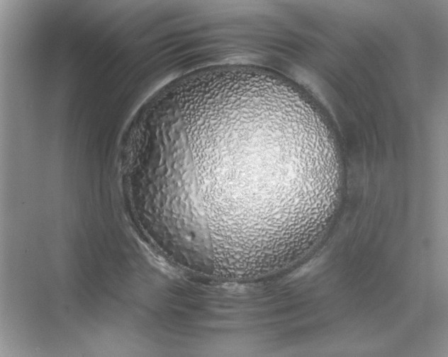 X0000070230827200606091715