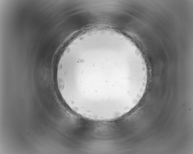 X0000070230828200606091715