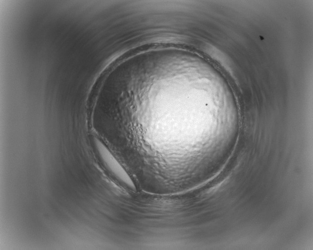 X0000070230829200606091715