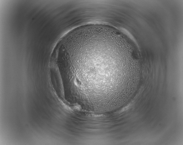 X0000070230831200606091715