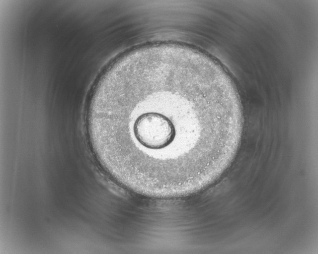 X0000070230832200606091715