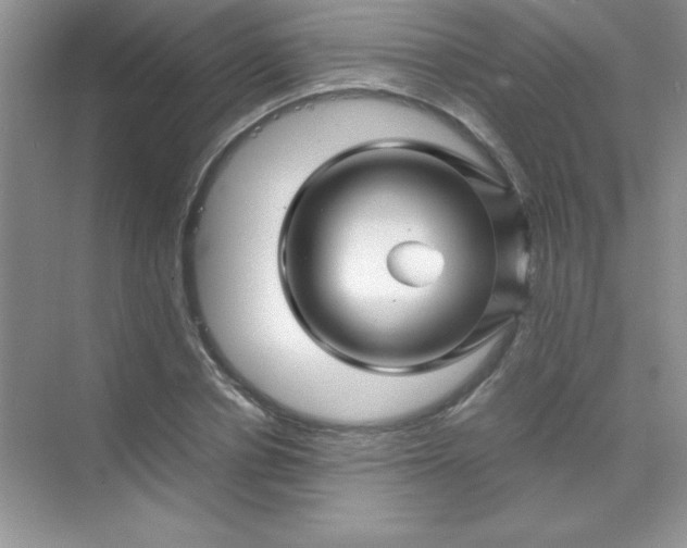 X0000070230834200606091715