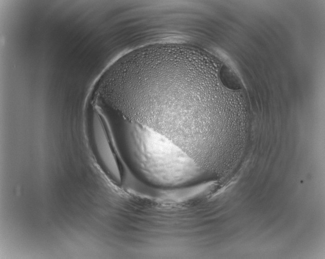 X0000070230835200606091715