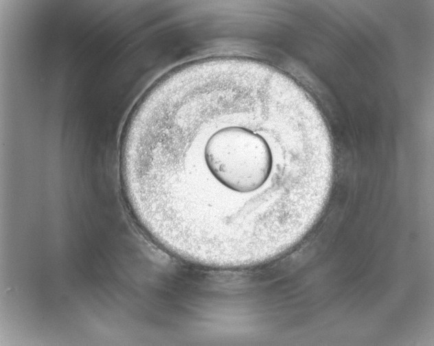 X0000070230836200606091715