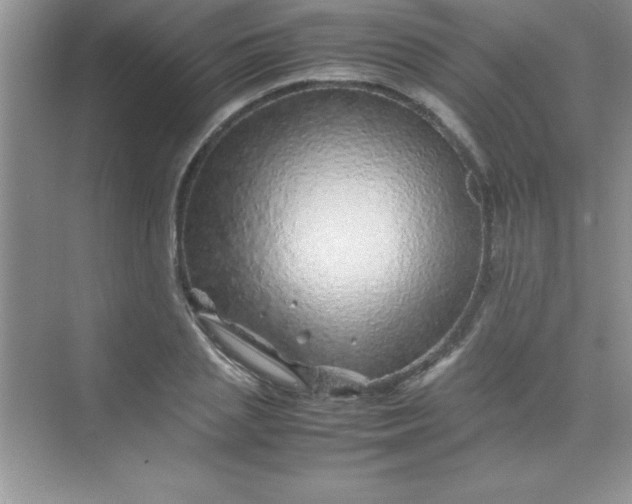 X0000070230837200606091715