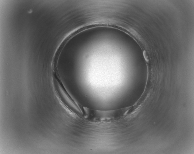 X0000070230838200606091715