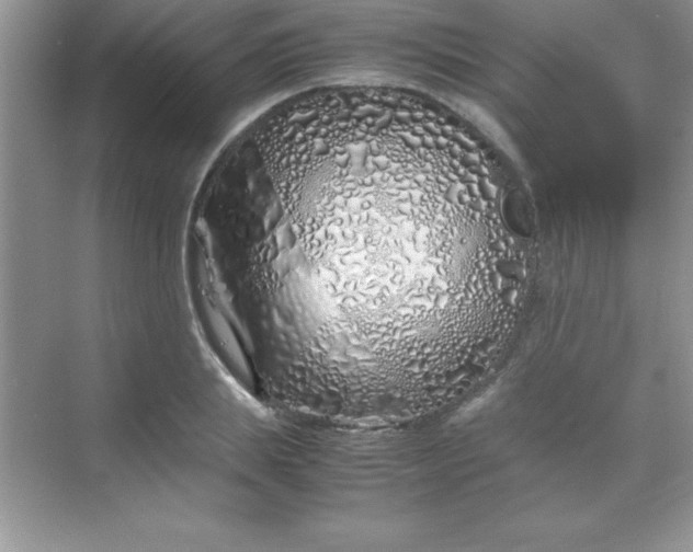 X0000070230839200606091715