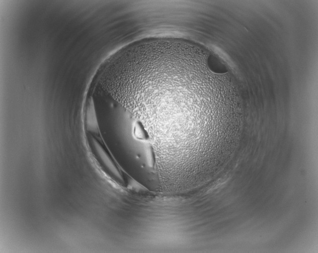 X0000070230840200606091715