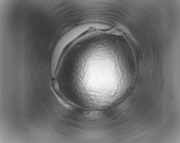 X0000070230841200606091715