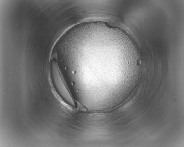 X0000070230844200606091715