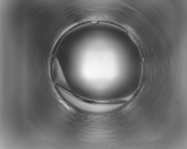 X0000070230846200606091715