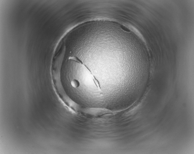 X0000070230847200606091715