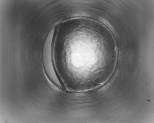 X0000070230849200606091715