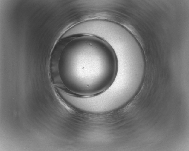 X0000070230850200606091715