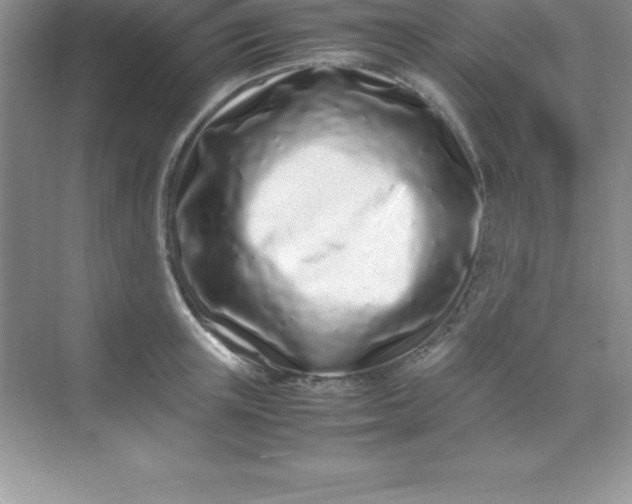 X0000070230851200606091715