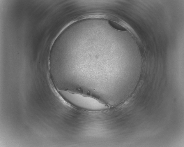 X0000070230852200606091715