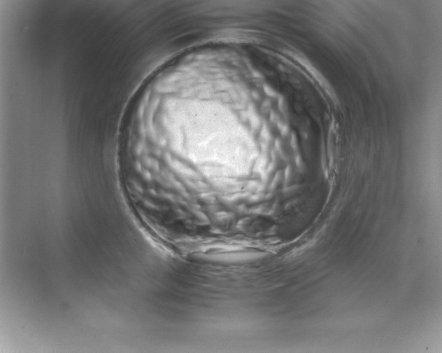 X0000070230853200606091715