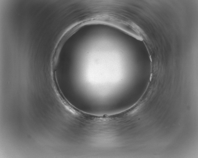 X0000070230854200606091715