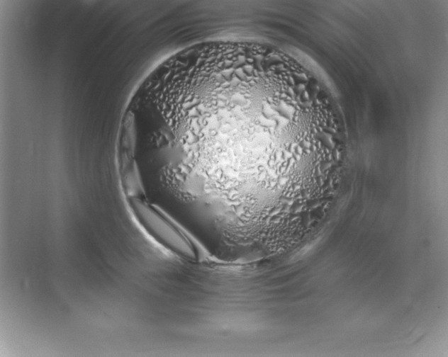 X0000070230855200606091715