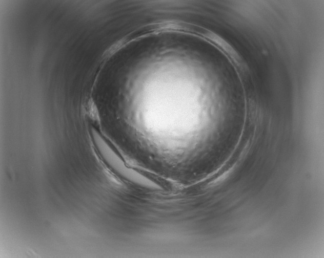 X0000070230857200606091715