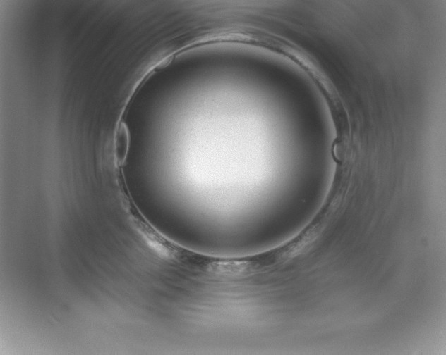 X0000070230858200606091715